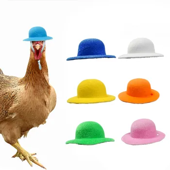 Милый шлем для цыпленка с забавным принтом, шапочка для защиты от солнца и дождя для маленьких домашних животных, кур, птиц, Утки, перепелов, Каска, головные уборы для домашних животных, принадлежности для игрушек, Новинка