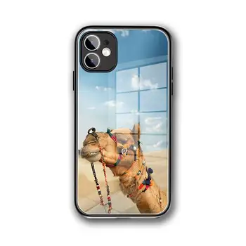 Чехол для телефона Animal camel Из Закаленного стекла Для iPhone 12 Pro Max Mini 11 iphone Pro XR XS MAX 8 X 7 6S 6 Plus SE 2020 чехол для телефона
