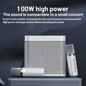 YS-203 100 Вт высокомощный беспроводной портативный микрофон Bluetooth звук на открытом воздухе для семейной вечеринки караоке сабвуфер бумбокс Caixa De Som